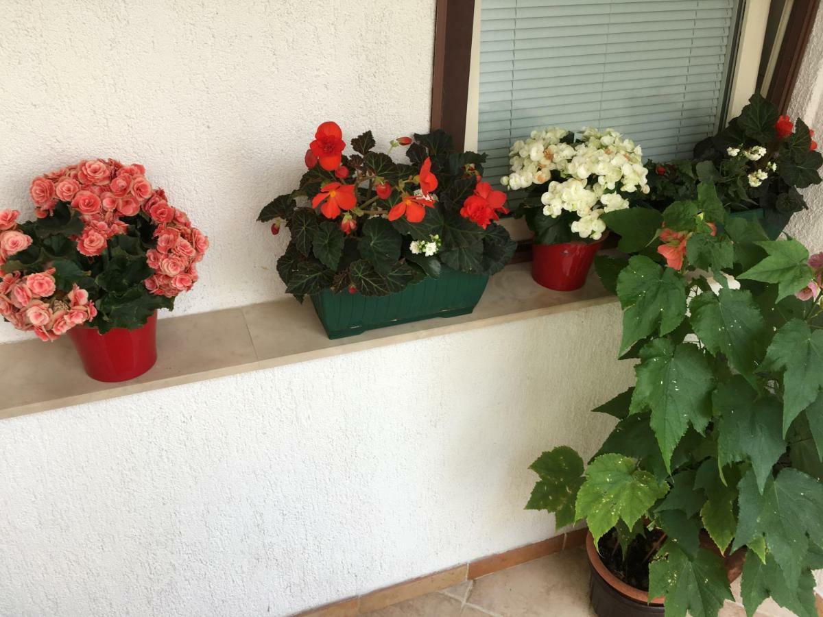 Apartment Lucija Novi Vinodolski Eksteriør billede