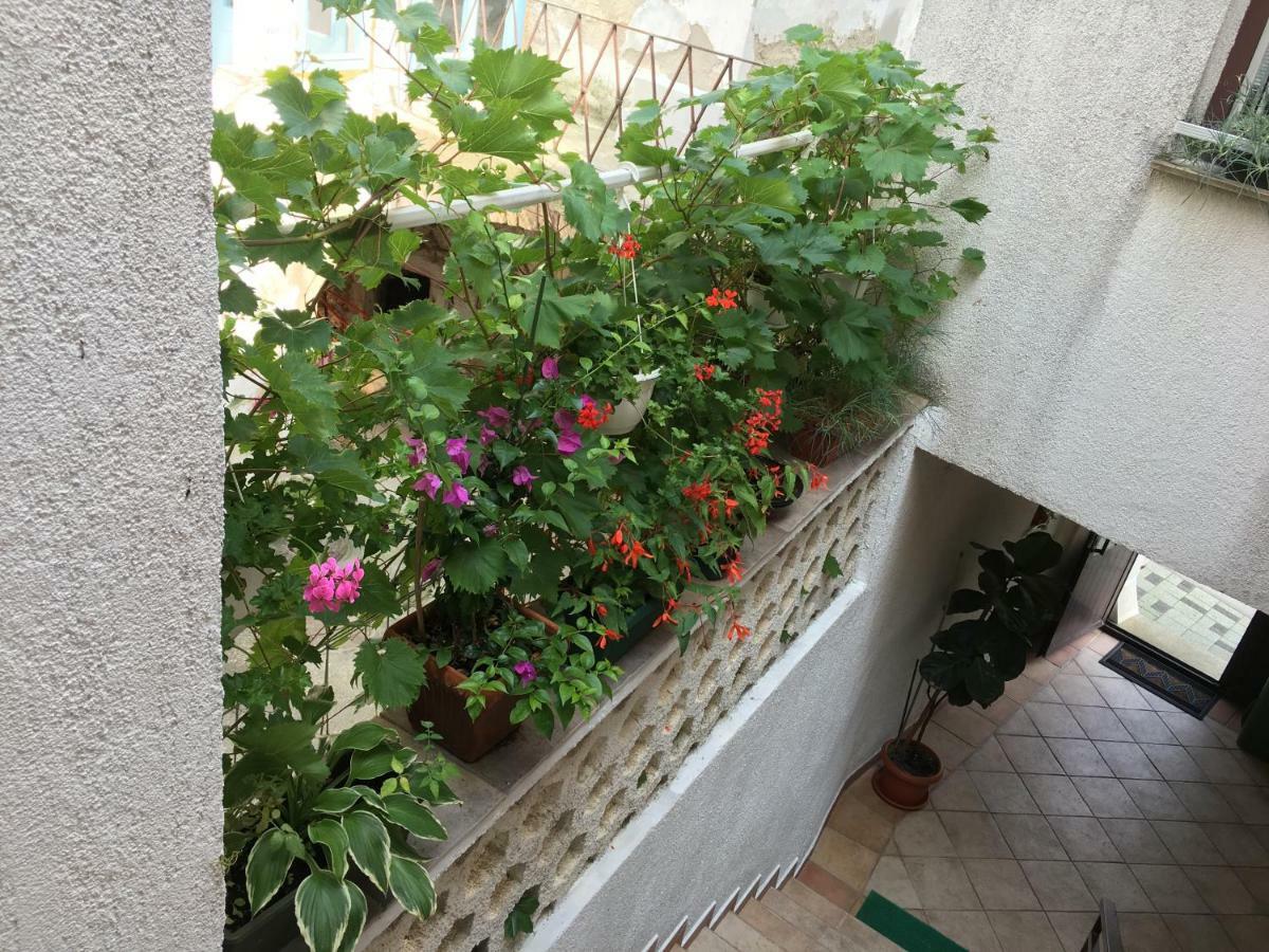 Apartment Lucija Novi Vinodolski Eksteriør billede