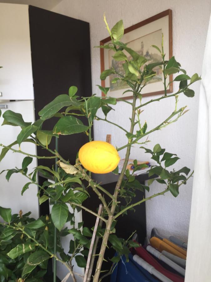 Apartment Lucija Novi Vinodolski Eksteriør billede